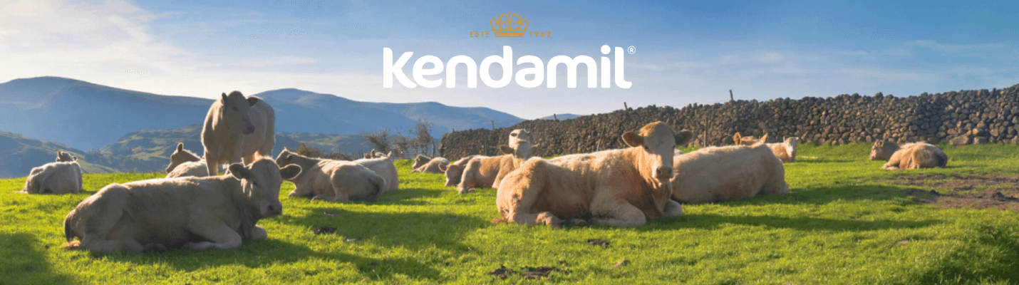 Kendamil